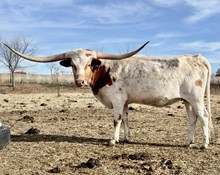 SEMINOLE VICTORY RVR