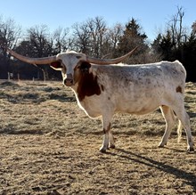 SEMINOLE VICTORY RVR